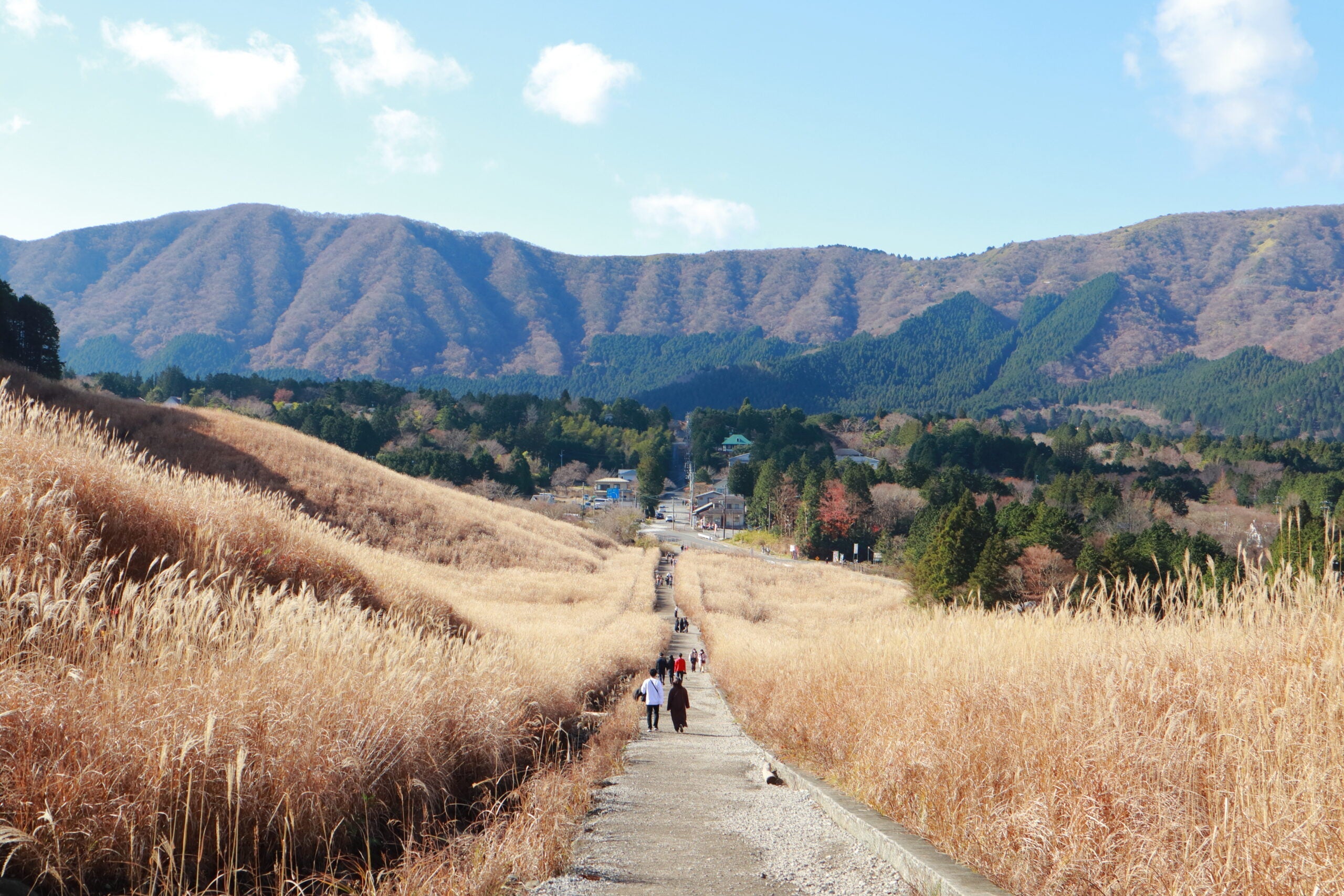 大切な人との別れを想う情景
