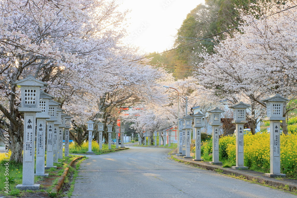 七五三で神社を訪れる様子