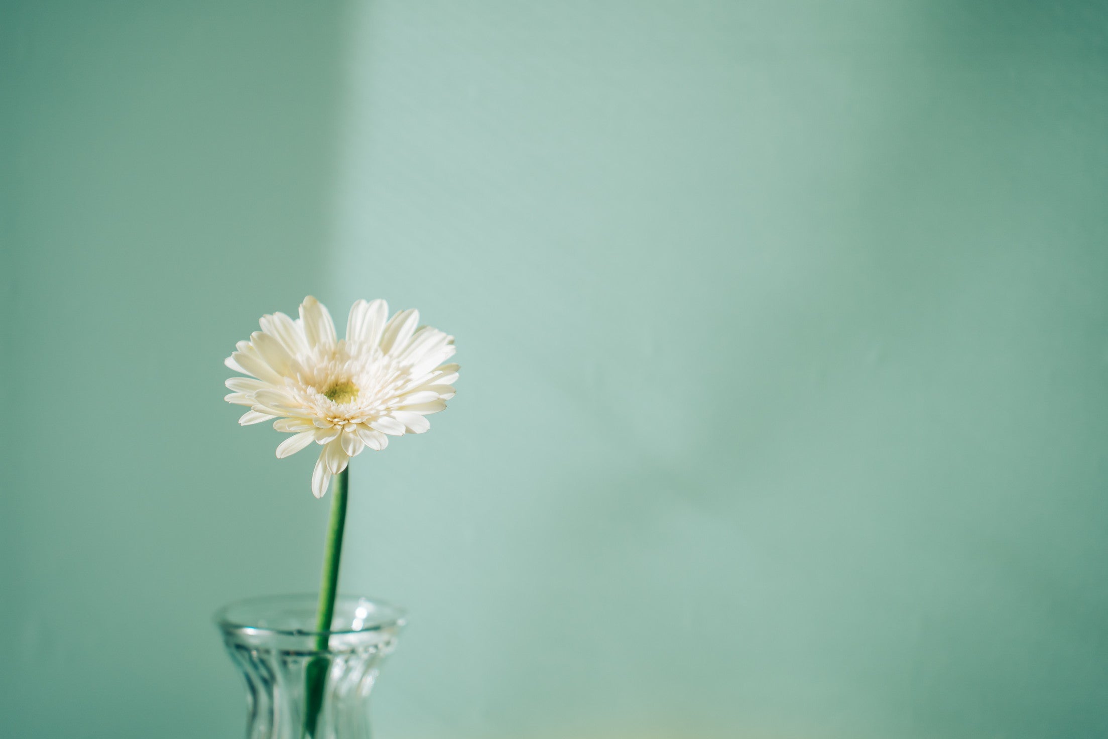一輪挿しに季節の花を活けた祈りの場