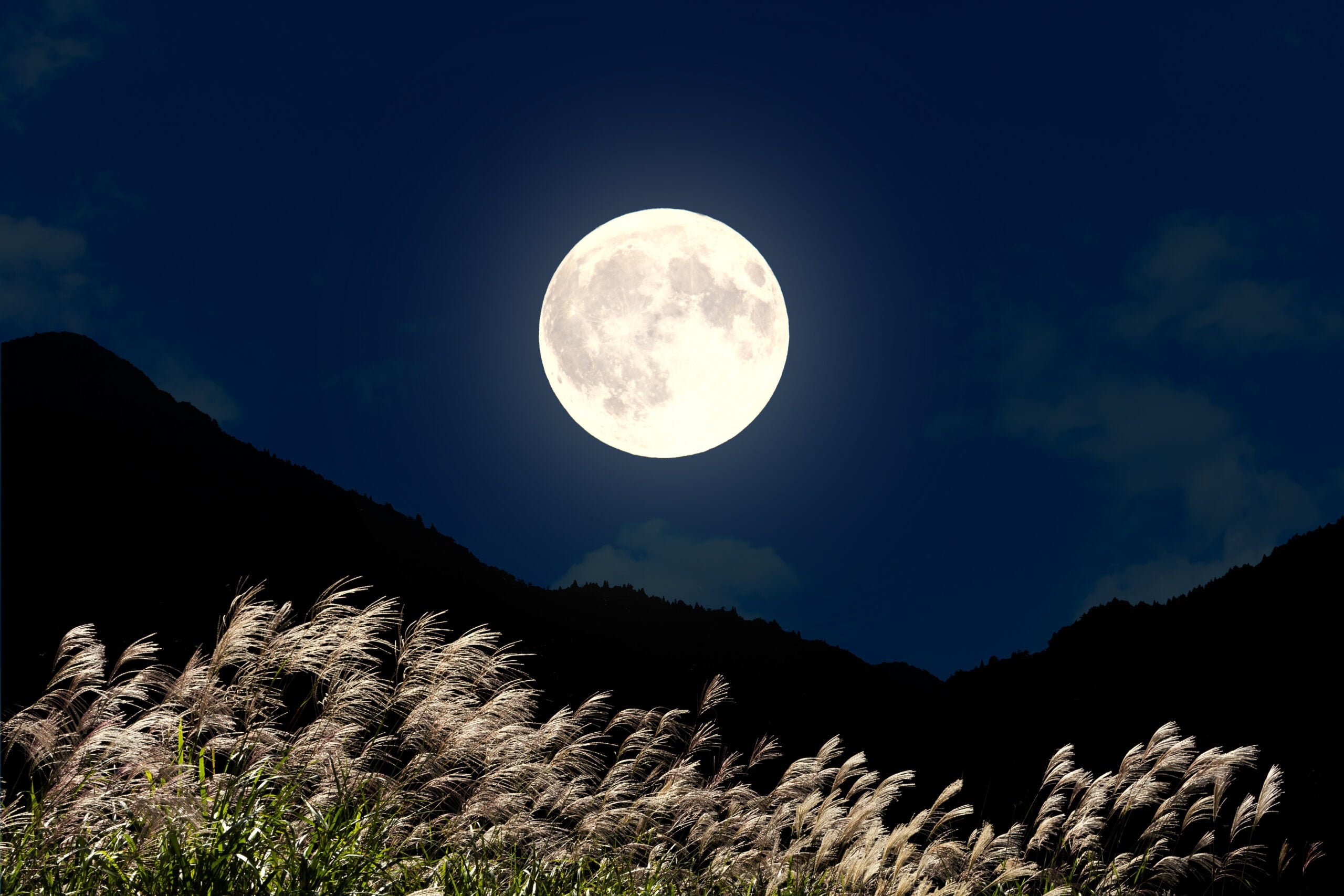 秋の夜空に浮かぶ中秋の名月