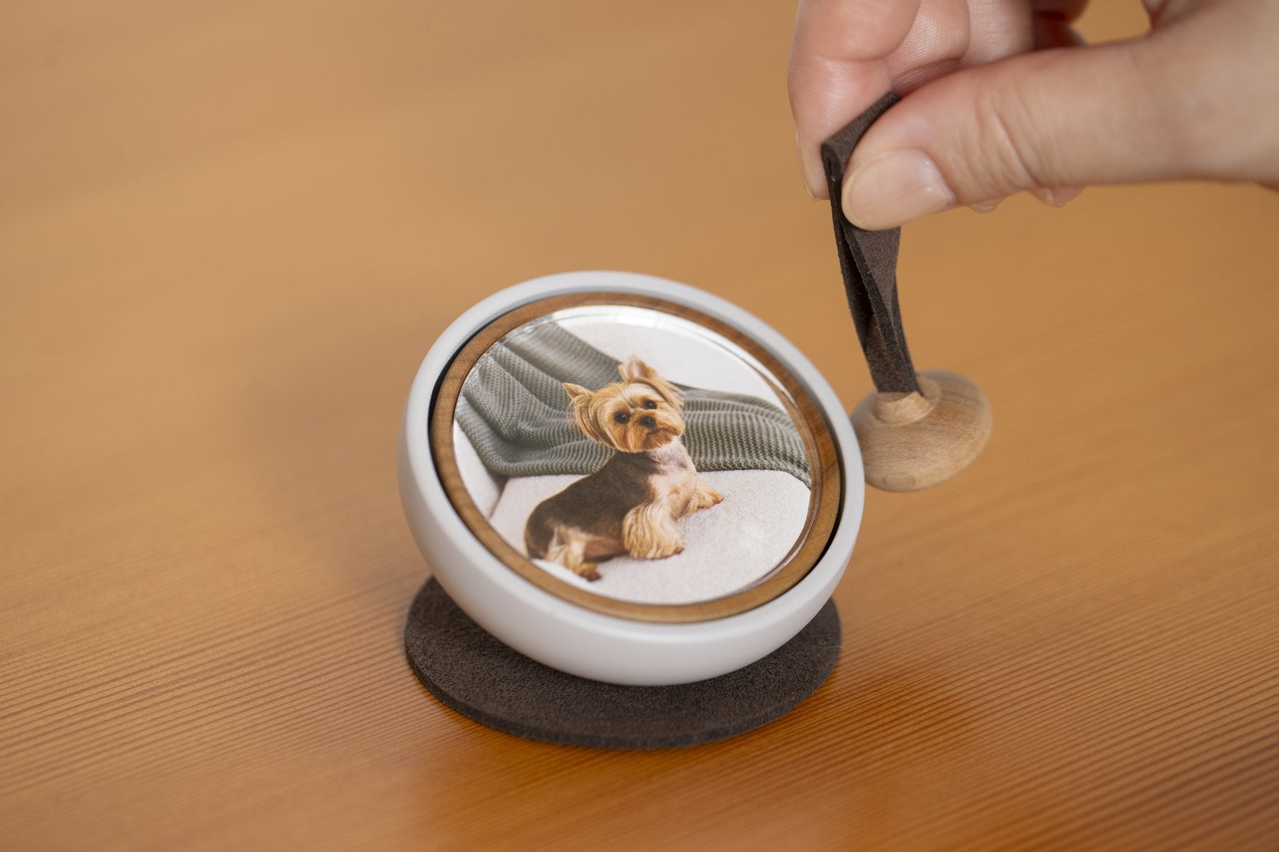 テイロの写真フレームに愛犬の写真を入れたシーン